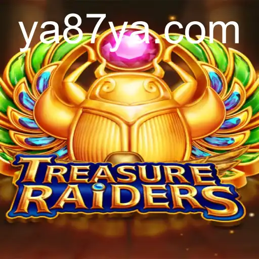 TREASURERAIDERS